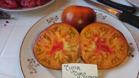 Чупа Чупс оранжевый